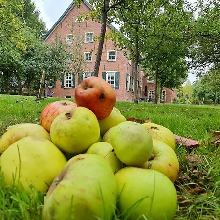 Gulfhof Boomgaarden 10 Gerjet * Krummhörn