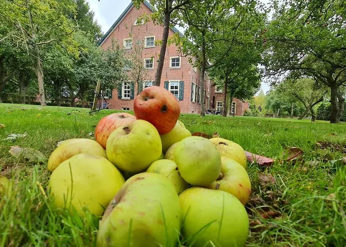 Gulfhof Boomgaarden Boomgaarden 10 Gerjet * Krummhörn